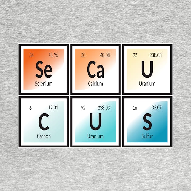 Town of Secaucus | Periodic Table of Elements by Maozva-DSGN